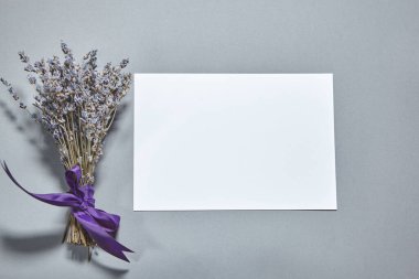 Beyaz kağıt kaplamalı lavanta çiçekleri gri arka planda. Beyaz kağıt boş, gri masada kurumuş çiçekler. Davetiye kartı mockup.Düz konum, üst görünüm, kopyalama alanı, maket