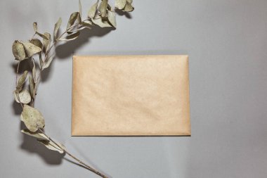 Gri arka planda kahverengi bir zarf. Kapalı el işi zarf, okaliptüs dalı gri masada. Davetiye kartı modeli. Düz konum, üst görünüm, kopyalama alanı, alaycı