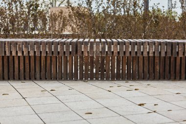 Banklı güzel bir park. Yeşil parktaki boş bank ve güneşli gökyüzü, açık yeşil park. Yeşil parktaki banklar, hiç kimse. Yaz turizmi ve seyahatler, turistler için popüler yerler