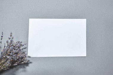 Beyaz kağıt kaplamalı lavanta çiçekleri gri arka planda. Beyaz kağıt boş, gri masada kurumuş çiçekler. Davetiye kartı mockup.Düz konum, üst görünüm, kopyalama alanı, maket