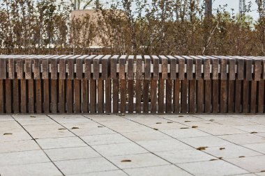 Banklı güzel bir park. Yeşil parktaki boş bank ve güneşli gökyüzü, açık yeşil park. Yeşil parktaki banklar, hiç kimse. Yaz turizmi ve seyahatler, turistler için popüler yerler