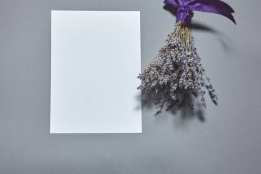 Beyaz kağıt kaplamalı lavanta çiçekleri gri arka planda. Beyaz kağıt boş, gri masada kurumuş çiçekler. Davetiye kartı mockup.Düz konum, üst görünüm, kopyalama alanı, maket
