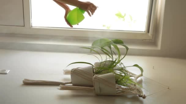 Mooie Vrouw Met Spuitfles Buurt Van Planten Een Jonge Vrouw — Stockvideo