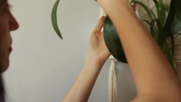 Piękna Kobieta Chowa Liście Rośliny Pyłu Młoda Kobieta Opiekująca Się — Wideo stockowe