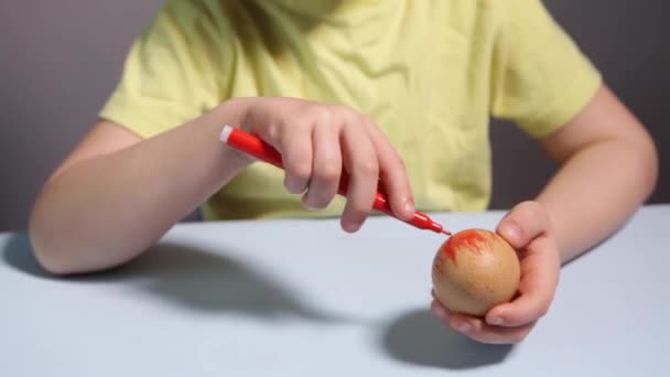 Bambino Dipinge Uovo Pasqua Tavola Uno Sfondo Azzurro Bambino Che — Video Stock