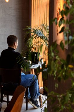 Kısa saçlı ve burun piercingli genç bir kız bir kafede oturuyor ve bir dizüstü bilgisayar üzerinde çalışıyor. Serbest çalışma ve uzak çalışma veya eğitim kavramı.