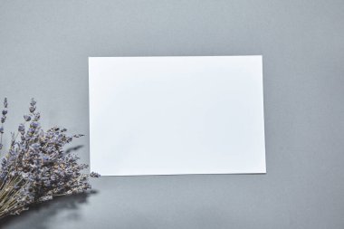Beyaz kağıt kaplamalı lavanta çiçekleri gri arka planda. Beyaz kağıt boş, gri masada kurumuş çiçekler. Davetiye kartı mockup.Düz konum, üst görünüm, kopyalama alanı, maket