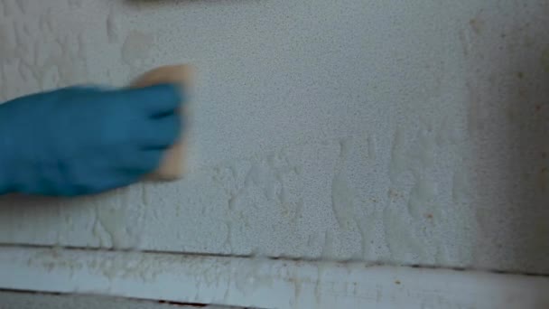 Una mujer limpiando la cocina — Vídeos de Stock