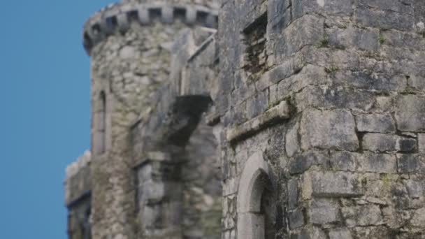 Kastil Menlo yang menakjubkan di Irlandia — Stok Video