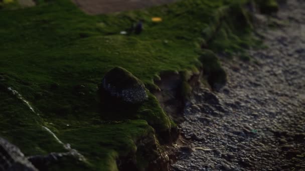 日没時にフェロー諸島の海岸線で見る — ストック動画