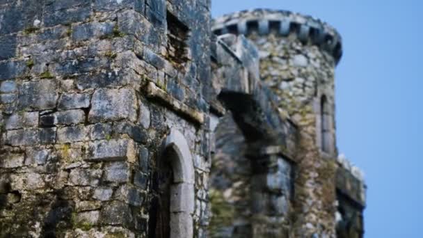 O incrível Castelo Menlo na Irlanda — Vídeo de Stock