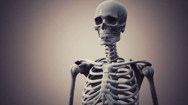 完全な人間の骨格が立ち — ストック動画