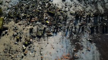 Kayalık sahile çıkan aşınmış ahşap merdiven.