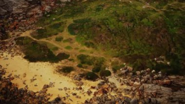 Yeşil yosun ve kurumuş ölüm plaj kayalarının üzerinde siyah yosun izleri var.