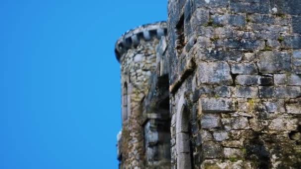 Den utrolige Menlo Castle i Irland. – stockvideo
