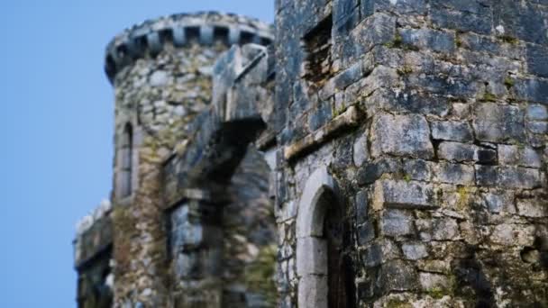Het verbazingwekkende kasteel Menlo in Ierland — Stockvideo