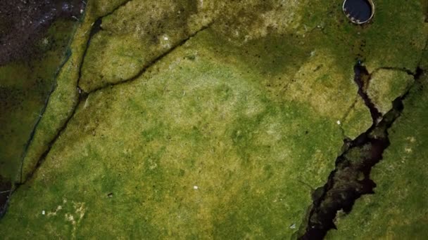 Vue aérienne du paysage verdoyant des îles Féroé — Video