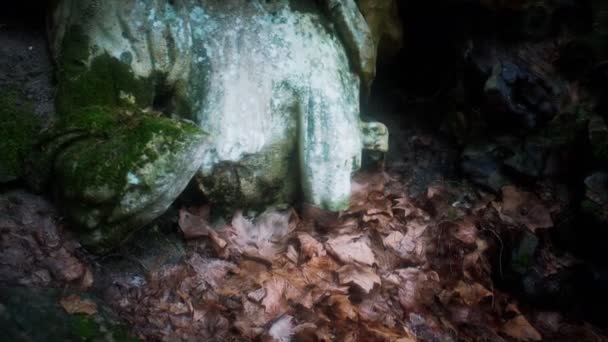 Monstrózní socha v lese — Stock video