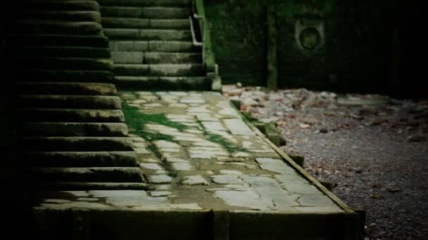 Antigua pared y escaleras cubiertas de musgo — Vídeos de Stock