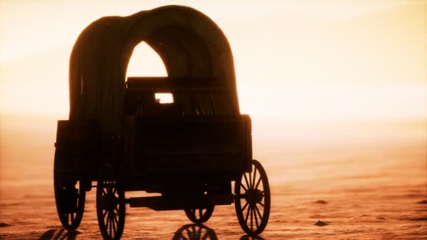 Canvas täckt retro vagn i öknen vid solnedgången — Stockvideo