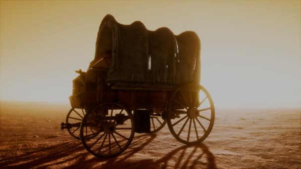 Lienzo cubierto carro retro en el desierto al atardecer — Vídeos de Stock