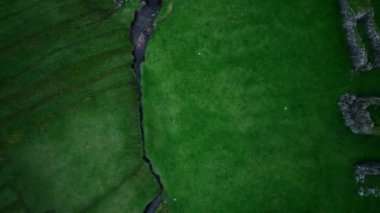 Faroe Adaları 'nın yeşil çimen tarlaları