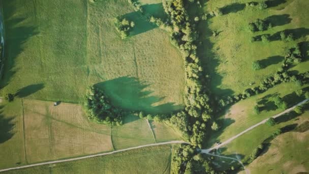Вид з повітря на зелені поля — стокове відео