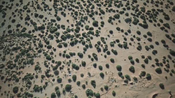 Vista aérea do deserto arbusto — Vídeo de Stock