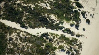 İHA kuşları kumsaldaki çimenli kum tepelerine bakar.