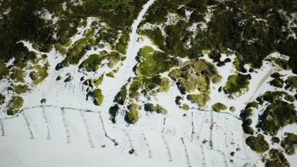 Drone vista aerea uccelli occhio di dune di sabbia erbosa sul paesaggio della spiaggia — Video Stock