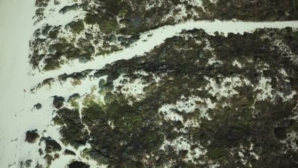 Aves aéreas de drones vista de dunas de arena cubiertas de hierba en el paisaje de la playa — Vídeo de stock