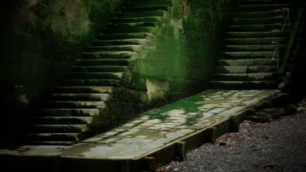 苔に覆われた古い壁と階段 — ストック動画