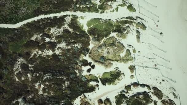 Drone lotnicze ptaki widok oczu trawiaste wydmy na plaży krajobraz — Wideo stockowe