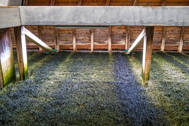 Salzhaltige Luft im Kurpark Bad Reichenhall