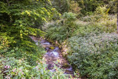Landschaftliche Idylle in Berchtesgadener Land am Thumsee