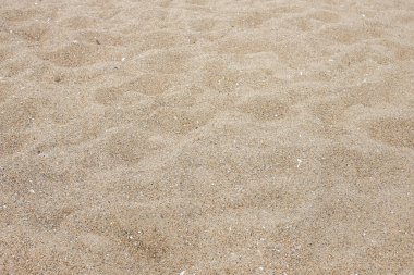 Altın plaj kumu. Uzayı kopyala Deniz kıyısında kum..