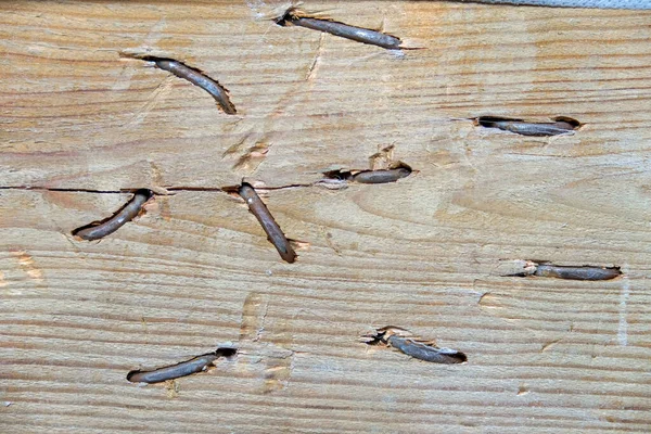 Stary Zardzewiały Gwóźdź Wygląda Starego Drewnianego Belki — Zdjęcie stockowe