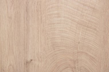 Eski ahşap dokusu. tahta arkaplan kapat.