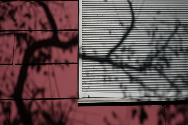 Boom Schaduw Roze Gebouw Met Kunststof Luiken — Stockfoto