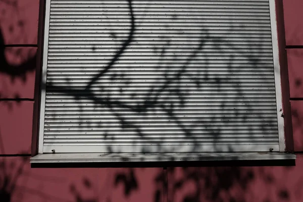 Sombra Galhos Árvore Edifício Rosa Com Janelas Plástico Abstrato — Fotografia de Stock