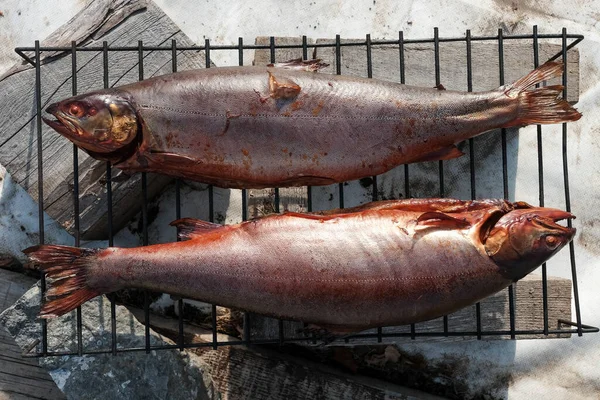 Balıklı barbekü. Izgara balık. Yağlı, yağlı balık DHA ve Çevre Koruma Ajansı için mükemmel ve sağlıklı bir kaynaktır..