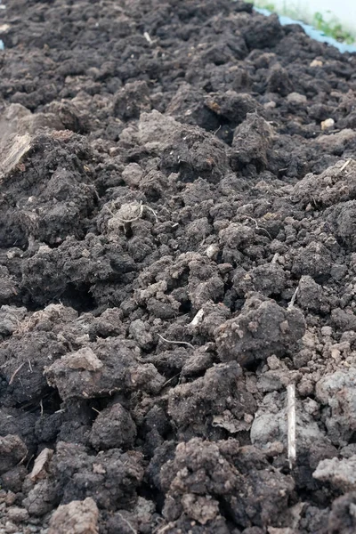 Closeup Plowed Field Fertile Black Soil — Stock Photo, Image