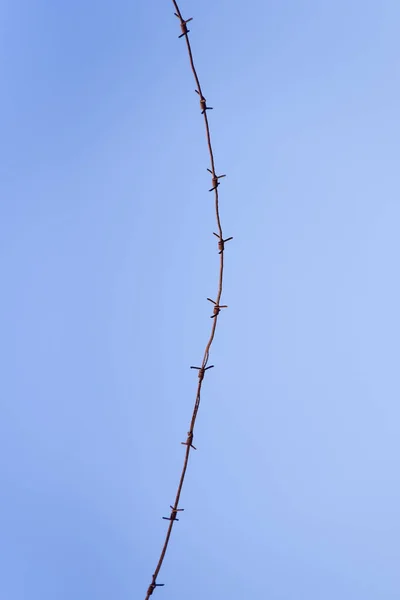 Arame Farpado Contra Fundo Azul Céu — Fotografia de Stock