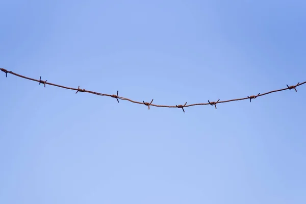 Barbed Wire Blue Sky Background — Stock Photo, Image