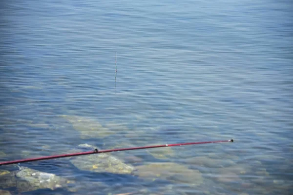 Flotador Pesca Palos Fuera Del Agua Parte Caña Pescar Visible — Foto de Stock