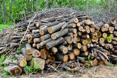 Bir yığın odun, evi ısıtmak için hazırlandı, bir yığın doğrandı ve kış için odun yığını hazırlandı..