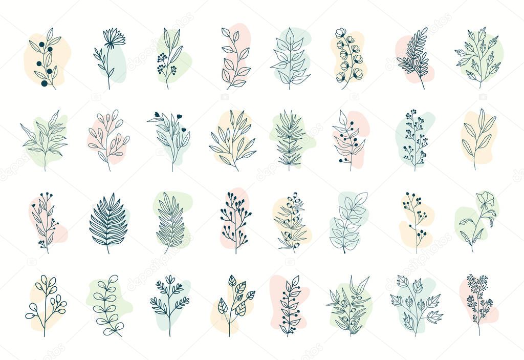 Vector set of nerd elements with circles of different colors on an isolated background. Tropical plants, leaves and branches with flowers. Hand drawn style. For printing on fabric and clothing,