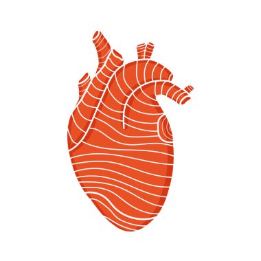  Kırmızılı izole edilmiş kırmızı insan kalbi.