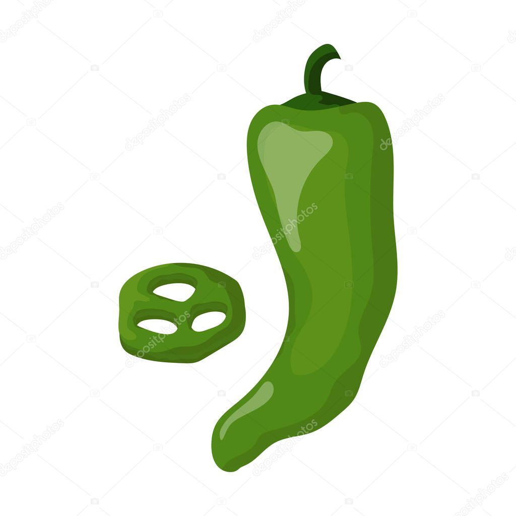 Jalapeno pepper. Vector colorful illustration isolated on white background. Spicy slices of pepper. Stock illustration.