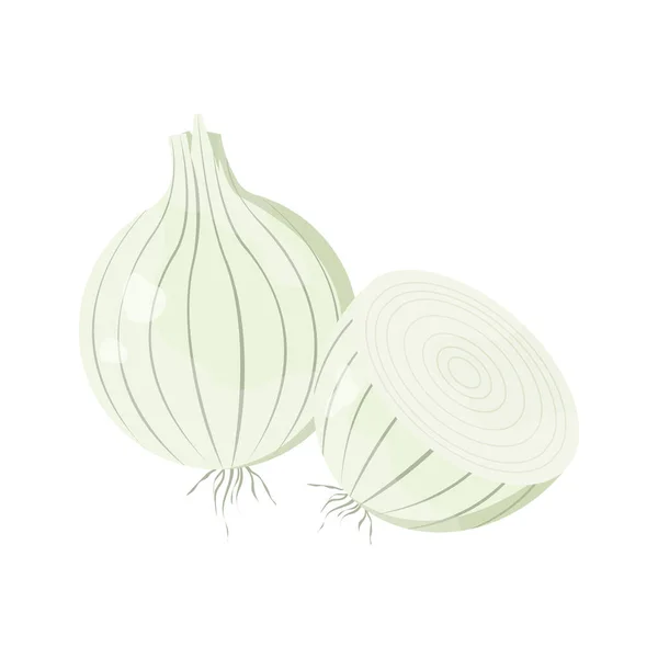 White sweet onions. Fresh ingredient for the dish. — стоковый вектор